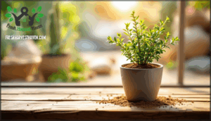 thyme – soil and drought tolerance