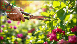 timing pruning for optimal growth