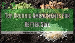 top organic amendments for better soil