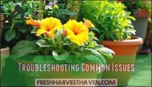 troubleshooting common issues
