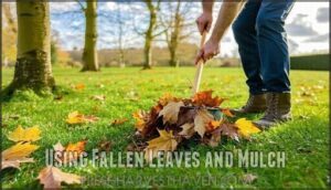 using fallen leaves and mulch using fallen leaves and mulch