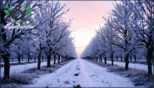 what does cold hardy really mean