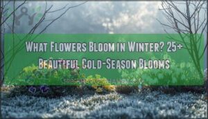 what flowers bloom in winter