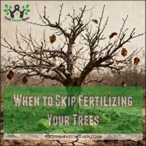 when to skip fertilizing your trees