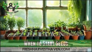 when to start seeds when to start seeds