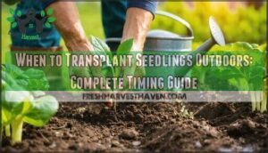 when to transplant seedlings outdoors
