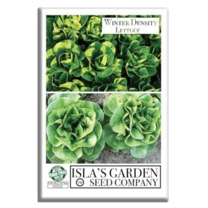 Winter Density Lettuce Seeds (Winter B08JS8WY9N