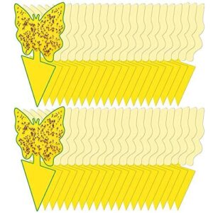 40 Pack Fungus Gnat Traps B08B5VSV97