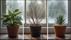 adjusting watering for different plant types adjusting watering for different plant types