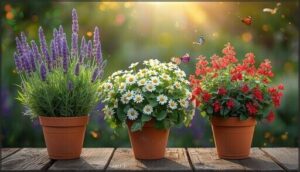 aromatic herbs with beautiful flowers aromatic herbs with beautiful flowers