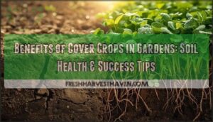 benefits of cover crops in gardens