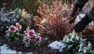 benefits of winter flower gardening benefits of winter flower gardening
