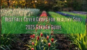 best fall cover crops for healthy soil