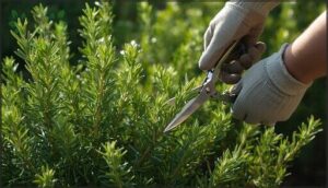 best harvesting techniques to promote regrowth