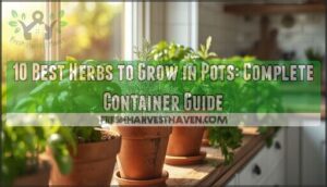 best herbs to grow in pots