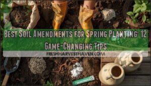 best soil amendments for spring planting