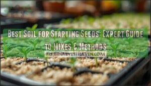 best soil for starting seeds