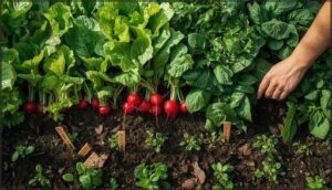 best vegetables for spring succession planting best vegetables for spring succession planting