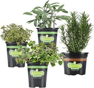 Bonnie Plants Herb Garden (4 Pack), B07B79V7BX