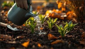 caring for newly planted fall perennials