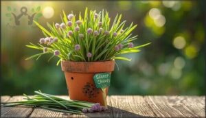 chives – easy and productive chives – easy and productive