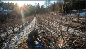 choosing and planting sites for cold hardy trees