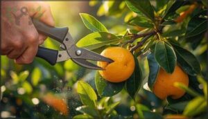 citrus tree pruning techniques and best practices citrus tree pruning techniques and best practices