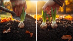 correct bulb orientation and placement correct bulb orientation and placement