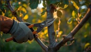 cutting suckers and water sprouts
