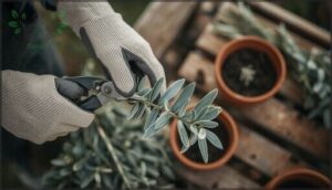 cutting technique for highest success cutting technique for highest success