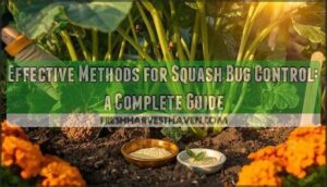 effective methods for squash bug control effective methods for squash bug control