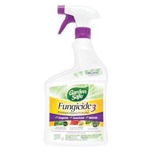 Garden Safe Brand Fungicide3, 32 B0BDVDHVNJ