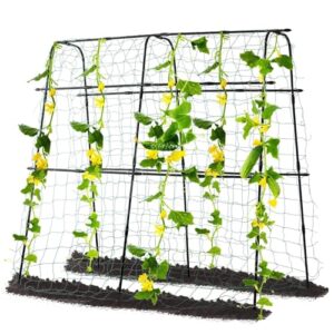 Garden Trellis for Climbing Plants B0C54149PJ