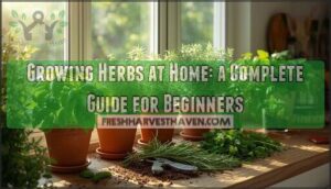 growing herbs at home growing herbs at home
