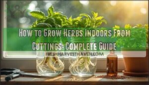 growing herbs indoors from cuttings growing herbs indoors from cuttings