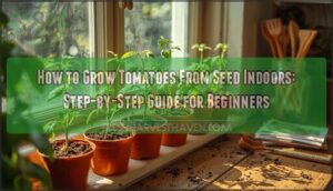 growing tomatoes from seed indoors growing tomatoes from seed indoors