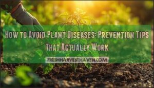 how to avoid plant diseases