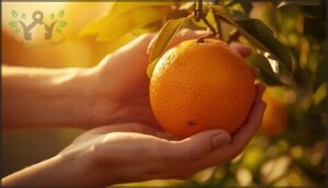 how to test oranges for peak ripeness how to test oranges for peak ripeness