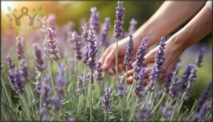 identifying healthy parent stems identifying healthy parent stems