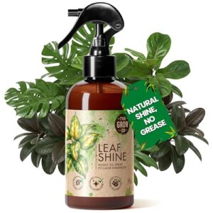 Leaf Shine Spray for Indoor B0DM5GS6ZH