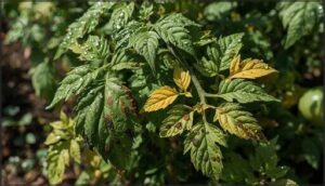 leaf spot patterns and yellowing leaf spot patterns and yellowing