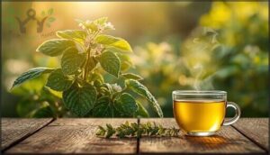 lemon balm lemon balm