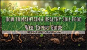 maintaining healthy soil food web maintaining healthy soil food web