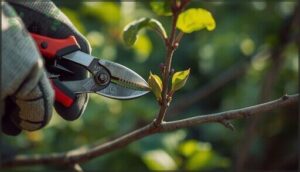 making proper pruning cuts