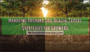 managing orchard soil health
