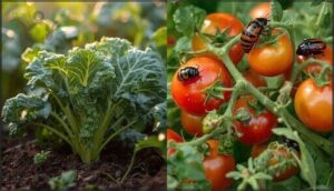 most frequent pests in vegetable gardens most frequent pests in vegetable gardens