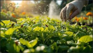 natural methods to remove aphids natural methods to remove aphids