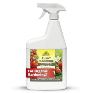 Neudorff Plant Fungicide Spray, Copper B0F22JYQJV