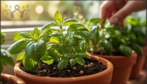 nutrient availability and slow-release fertilizers