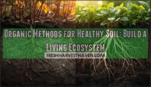 organic methods for healthy soil organic methods for healthy soil